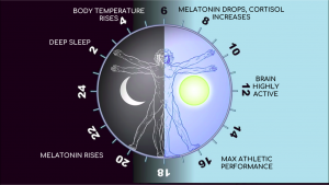 CIRCADIAN RHYTHM : The Inner Engineering Circadian Rhythm