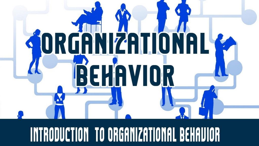 Introduction To Organisational Behavior